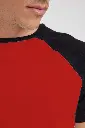 sdfsadfsadf.webp