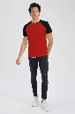 efawefadsf.webp
